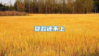 贷款还不上