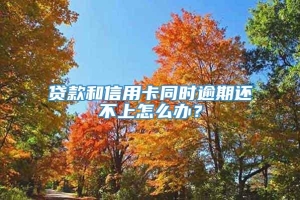 贷款和信用卡同时逾期还不上怎么办？