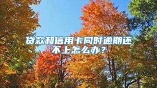 贷款和信用卡同时逾期还不上怎么办?