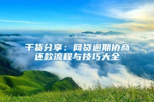 干货分享：网贷逾期协商还款流程与技巧大全