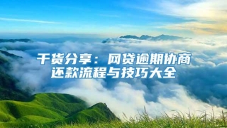 干货分享：网贷逾期协商还款流程与技巧大全