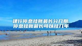 建行停息挂账最长分几期,停息挂账最长可以挂几年