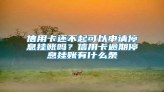 信用卡还不起可以申请停息挂账吗?信用卡逾期停息挂账有什么条