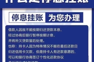 民生银行停息挂账话术视频(民生银行怎么停息挂账)