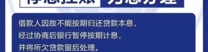 民生银行停息挂账话术视频(民生银行怎么停息挂账)