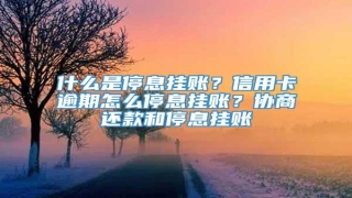 什么是停息挂账?信用卡逾期怎么停息挂账?协商还款和停息挂账