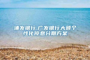 浦发银行,广发银行大额个性化停息分期方案