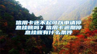信用卡还不起可以申请停息挂账吗?信用卡逾期停息挂账有什么条件
