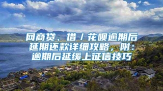 网商贷、借／花呗逾期后延期还款详细攻略，附：逾期后延缓上征信技巧