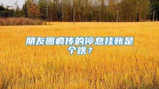 朋友圈疯传的停息挂账是个啥？