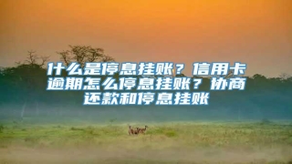 什么是停息挂账?信用卡逾期怎么停息挂账?协商还款和停息挂账