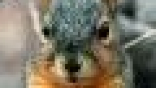 房贷逾期会被罚，提前还房贷也会被罚？小编给你涨知识！