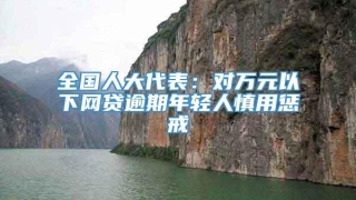 全国人大代表:对万元以下网贷逾期年轻人慎用惩戒