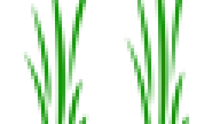 杞县人民法院 杞县公安局 杞县农商银行关于督促借款人及其担保人偿还逾期贷款的通告