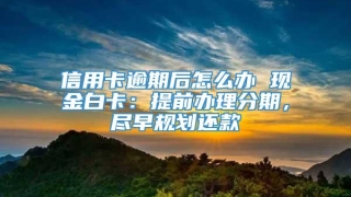 信用卡逾期后怎么办 现金白卡:提前办理分期,尽早规划还款