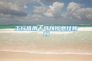 工行信用卡可以停息挂账吗