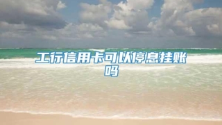 工行信用卡可以停息挂账吗