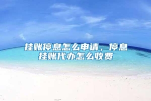 挂账停息怎么申请，停息挂账代办怎么收费