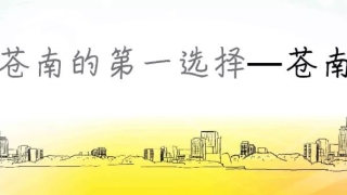贷款又出事！女孩借2000要还15万！这7人在温州被抓