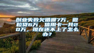 创业失败欠借呗7万,微粒贷6万,信用卡一共20万,现在还不上了怎么办?