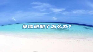 负债逾期了怎么办?