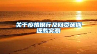 关于疫情银行及网贷延期还款实测