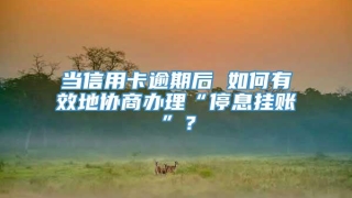 当信用卡逾期后 如何有效地协商办理“停息挂账”?