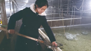 道德模范拜大年｜郭旗：刚结婚接下公公2000万债务，不管有多难，欠的钱一定要还