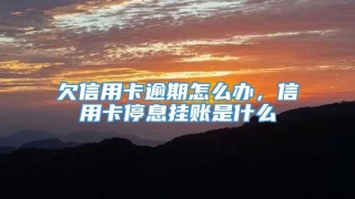 欠信用卡逾期怎么办，信用卡停息挂账是什么