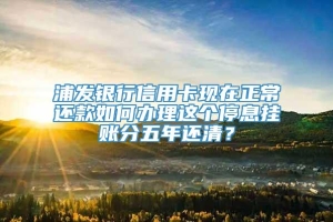 浦发银行信用卡现在正常还款如何办理这个停息挂账分五年还清？