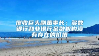 催收巨头副董事长:多数银行和非银行金融机构没有存在的价值