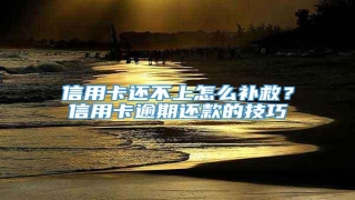 信用卡还不上怎么补救?信用卡逾期还款的技巧