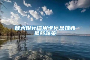 各大银行信用卡停息挂账最新政策