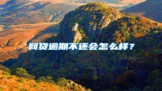 网贷逾期不还会怎么样?