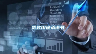 贷款用途承诺书