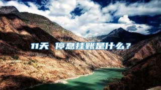 11天 停息挂账是什么?