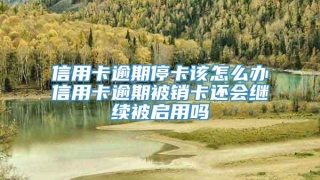 信用卡逾期停卡该怎么办信用卡逾期被销卡还会继续被启用吗