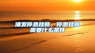 浦发停息挂账，停息挂账需要什么条件