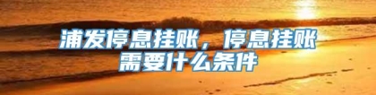 浦发停息挂账，停息挂账需要什么条件