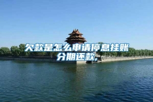 欠款是怎么申请停息挂账分期还款,