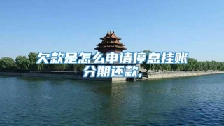 欠款是怎么申请停息挂账分期还款,