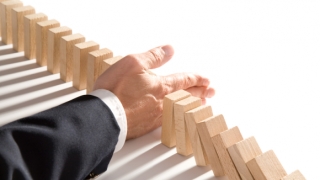 福鼎白茶股份“披星戴帽”：涉嫌信披违规遭立案调查，银行借款频频逾期