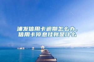 浦发信用卡逾期怎么办，信用卡停息挂账是什么