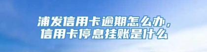 浦发信用卡逾期怎么办，信用卡停息挂账是什么