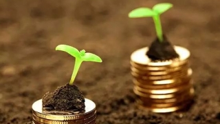 寒冬中的网络小贷：比设想中的最坏还要坏