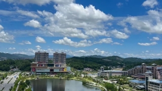 罗田农业银行混淆视听，颠倒黑白，表面上说是为受害者考虑，实际是为自己和犯罪者开脱，抹黑罗田