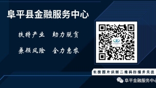 贷款必备常识  不懂后果严重