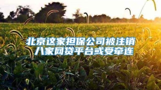 北京这家担保公司被注销 八家网贷平台或受牵连