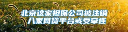 北京这家担保公司被注销 八家网贷平台或受牵连