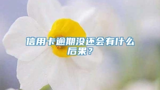 信用卡逾期没还会有什么后果？